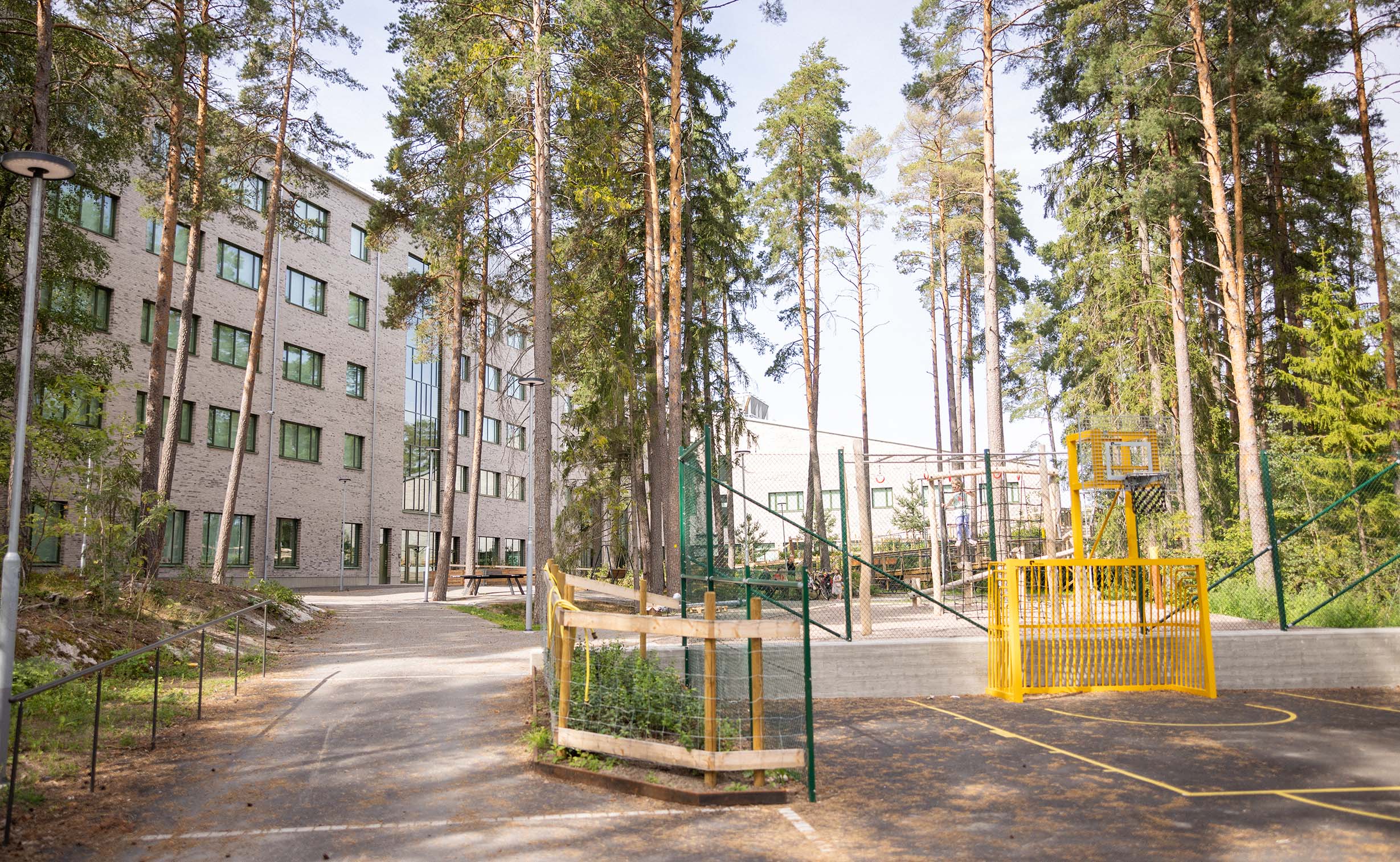 Skolgård med höga träd, basketkorg och klätterställningar.