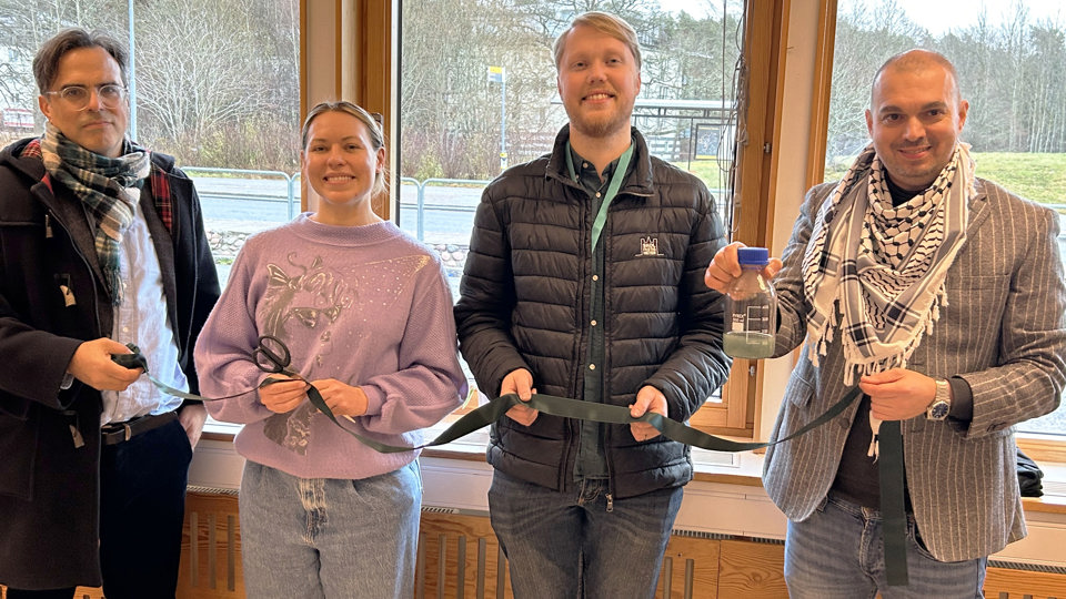 Fyra personer poserar framför ett klassrumsfönster.